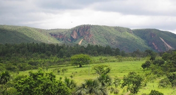 Parque da Serra de Caldas Novas abre exposição sobre plantas do Cerrado